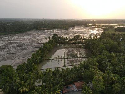 Rain Tree Hotel in Yala Organic Farm